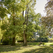 Stöfenpark Marne