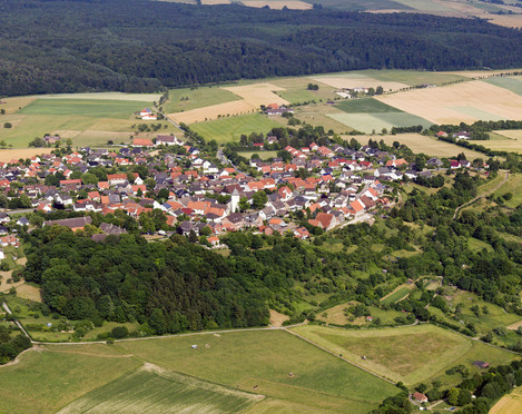Ortsteil Dringenberg 