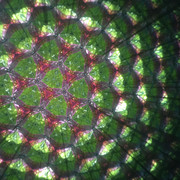 Im Zeitlupenkaleidoskop fließen Flüssigkeiten ganz langsam durch das Bild und verändern es so in Zeitlupe