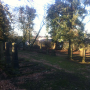 Jüdischer Friedhof in Werther (Westf.)
