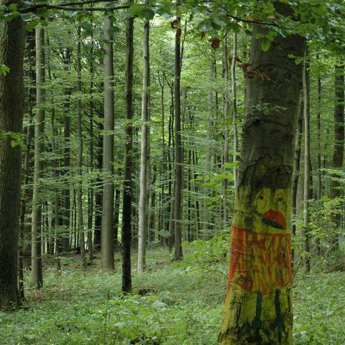 Kunst im Wald