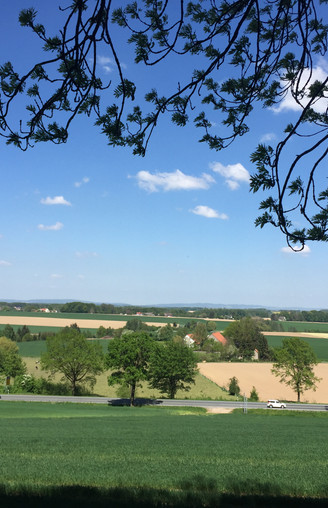 Ausblick auf die Theenhausener Landschaft