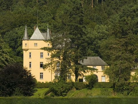 Schloss_Strauweiler_David_Bosbach.jpg