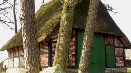 Schafstall Hatzte bei Elsdorf