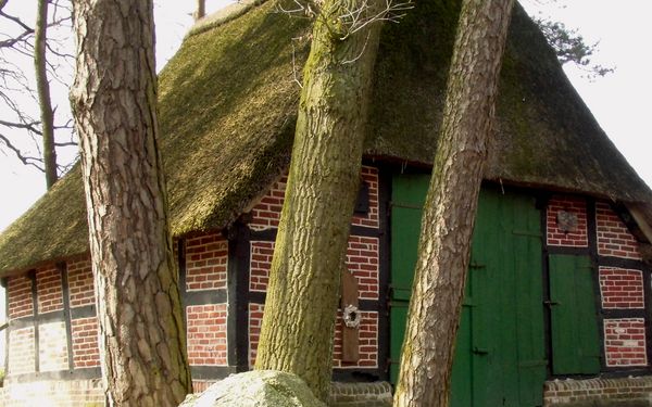 Schafstall Hatzte bei Elsdorf