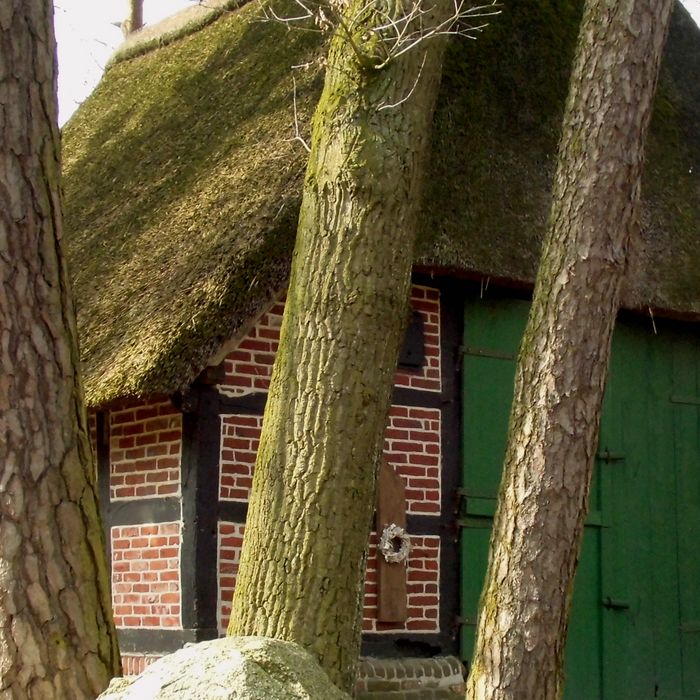Schafstall Hatzte bei Elsdorf