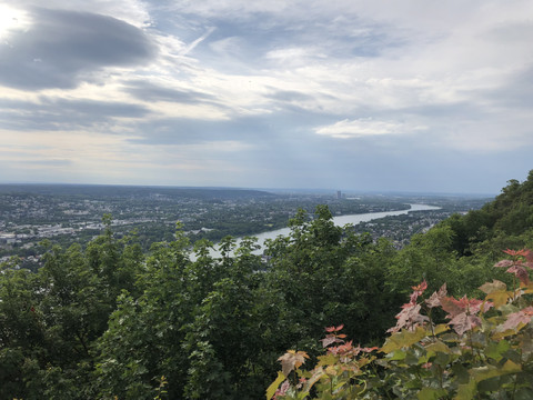 Blick aus dem Siebengebirge auf den Rhein