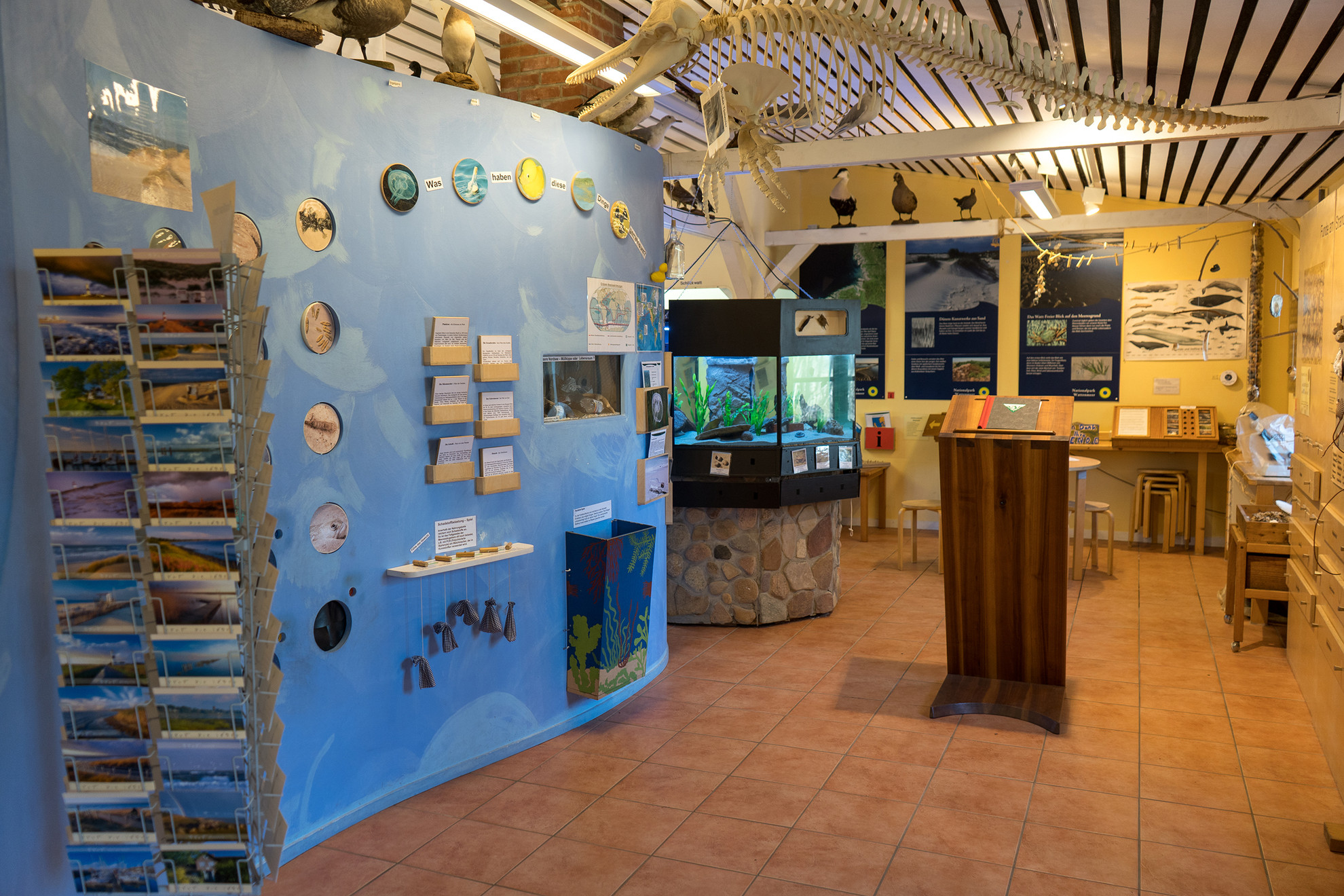 Ausstellung Naturzentrum Braderup