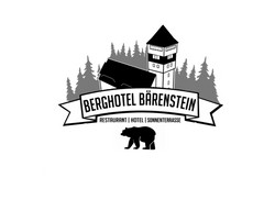 Logo_Berg_Bärenstein