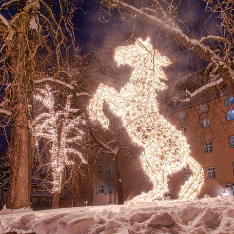 Lichterzauber im Schnee, Pferd