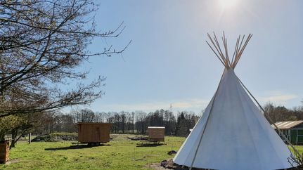 Übernachten im Tipi oder Schlafwagen in der Oase am Knüllbach