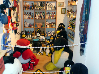 Pinguin-Museum Cuxhaven