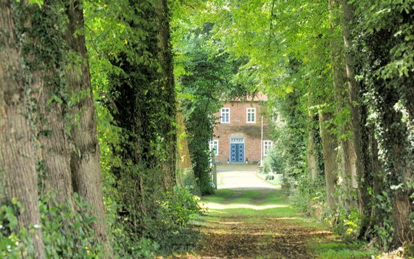 Lindenallee zum Rittergut Poggemühlen