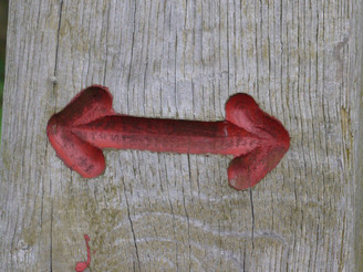Großes Torfmoor - Markierung - roter Pfeil