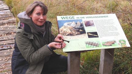 Erklärungen der Gästeführerin an einer Infotafel im Moor