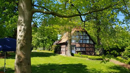 Das Gästehaus eingebettet im Grünen.jpg