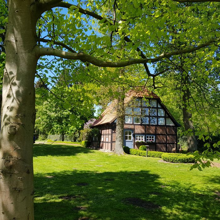 Das Gästehaus eingebettet im Grünen.jpg