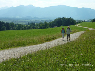 Fernwanderweg - Meditationsweg, 4. Etappe - Am Hagener Höhenweg