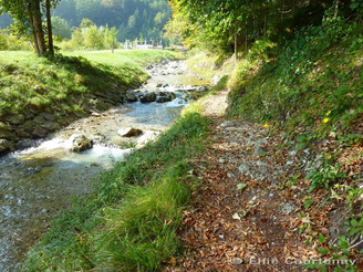Fernwanderweg - Meditationsweg, 6. Etappe - Am Gießenbach