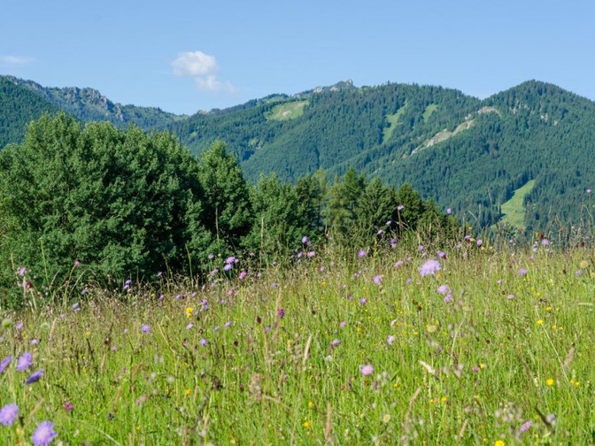 Mountainbiketour - Von Murnau über die Drei Marken - Blick in die Ammergauer
