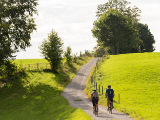 Radfahren durch saftige Wiesen in der Zugspitz Region