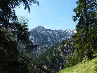 Blick vom Weg auf den Kuchelbergkopf