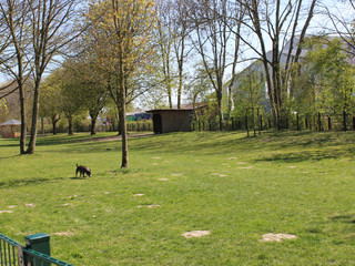 Otterndorf Hundewiese Stadtpark