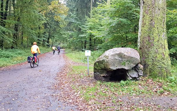 Findlingspark "Groß-Modder-Eiche" im Staatsforst Rosengarten