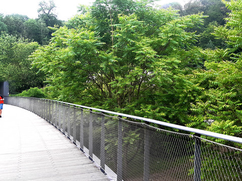 Brücke über den Grünen Zoo Wuppertal