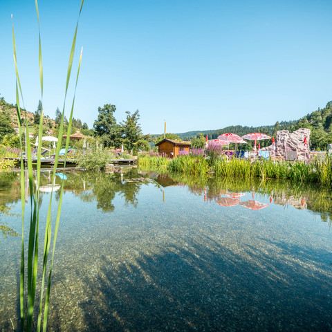 Naturbad Baiersbronn Mitteltal Regenerationsteich