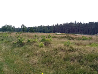 Jägersburger Heide