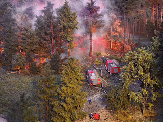 Waldbrand im Schienenbereich