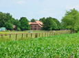 Reiterhof in der Nähe von Wesendorf in der Südheide GifhornCC0 FB Naturtour_Pferdehof1.jpg