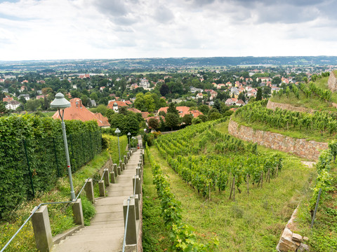 Blick vom Sächsischen Weinwanderweg ins Elbtal | Foto: Ben Walther