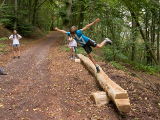 Lernen und Erleben auf dem Wald-Abenteuer-Pfad Station 7 Gleichgewicht
