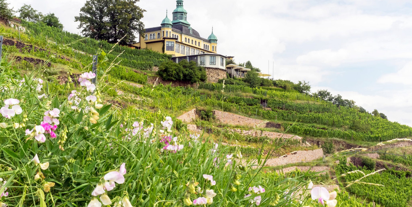 Blick zum Spitzhaus in Radebeul | Foto: Ben Walther
