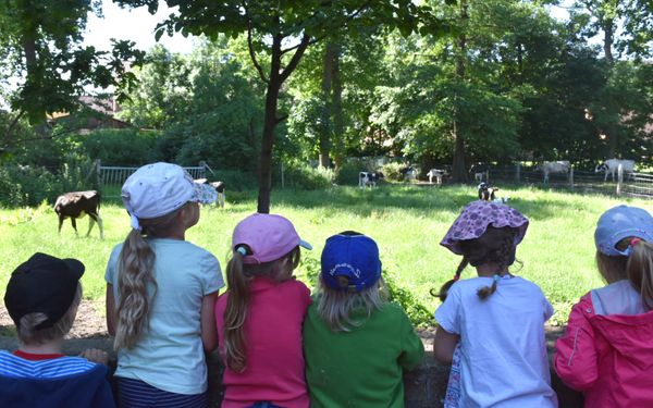 Hofführungen für Kinder auf Brunkshof