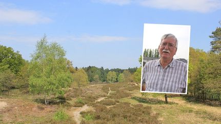 Gästeführer Michael Schnelle in der Vareler Heide