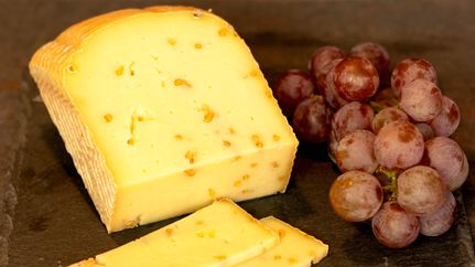 Moorkäse aus dem Hofladen Kück's Hoff