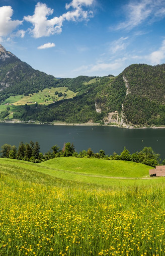 Panorama in Oberrüti, Blick auf den Alpnachersee