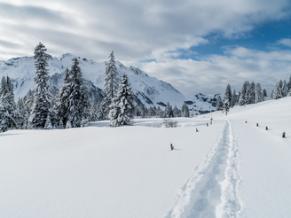 Fantastische Winterlandschaft rund um den Glaubenbielenpass in Sörenberg