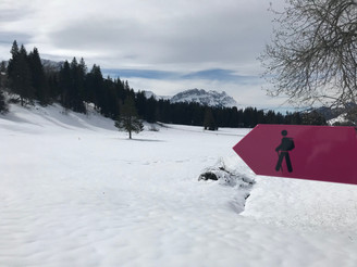 Winterwanderweg Finsterwald-Wissenegg