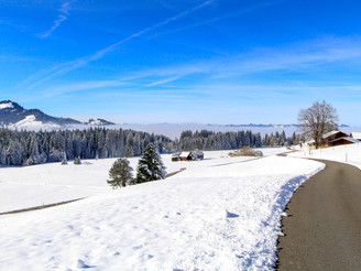 Winterwanderung Finsterwald