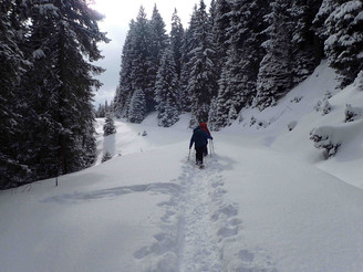 Schneeschuhtrail Jänzi Panorama Trail