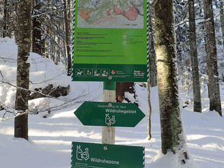 Schneeschuhtour Brünigpass-Ober Brünig-Lungern