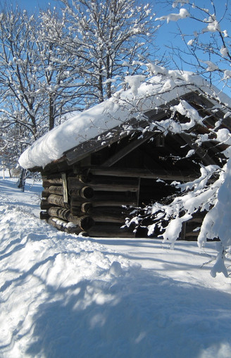 Winterwandern in Bad Bayersoien