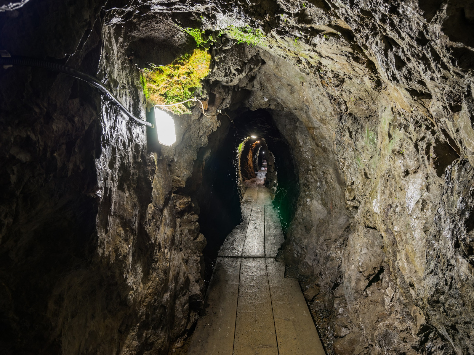 Foto: Michaela Hundertmark, Michael Mehle