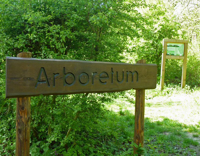 Arboretum Paderborn
