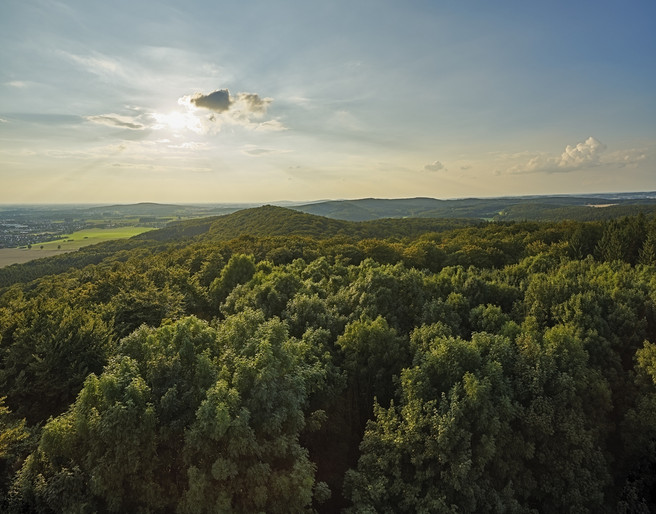 Blick auf den Teutoburger Wald