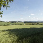 Landschaft bei Burg Sternberg CC BY-SA - LTM.jpg